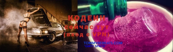 хмурый Вяземский