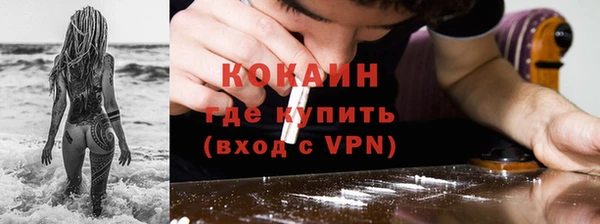 шишки Вязники