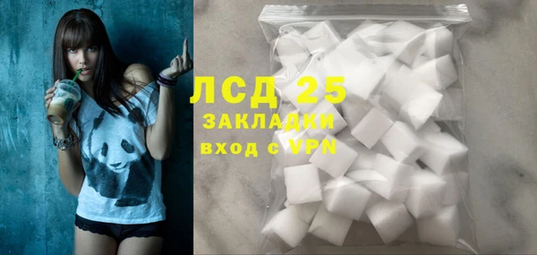 шишки Вязники