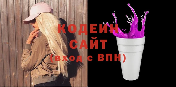 хмурый Вяземский