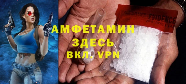 хмурый Вяземский
