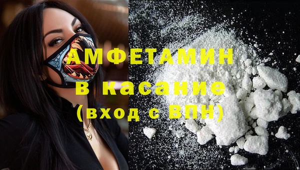 шишки Вязники