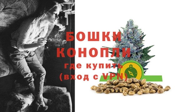 хмурый Вяземский